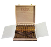 Oliva The Serie V Melanio Torperdo