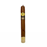 Trinidad Cabildos 2024 Limitada