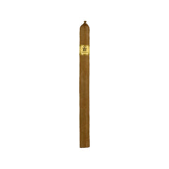 Trinidad Fundadores
